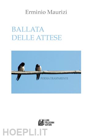 maurizi erminio - ballata delle attese. poesia trasparente