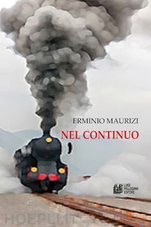 maurizi erminio - nel continuo