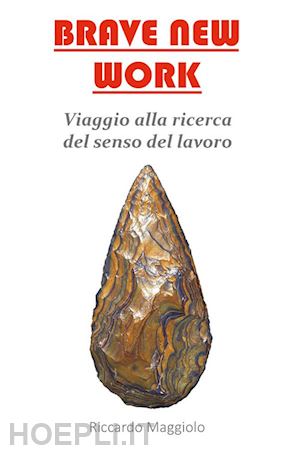 maggiolo riccardo - brave new work. viaggio alla ricerca del senso del lavoro