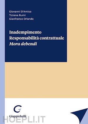 d'amico giovanni; rumi tiziana; orlando gianfranco - inadempimento - responsabilita' contrattuale - mora debendi