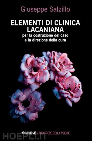 salzillo giuseppe - elementi di clinica lacaniana per la costruzione del caso e la direzione della c