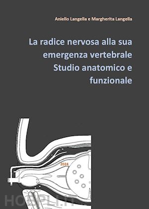 langella aniello; langella margherita - la radice nervosa alla sua emergenza vertebrale. studio anatomico e funzionale