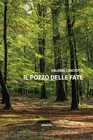 casciotti valeria - il pozzo delle fate