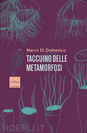 di domenico marco - taccuino delle metamorfosi