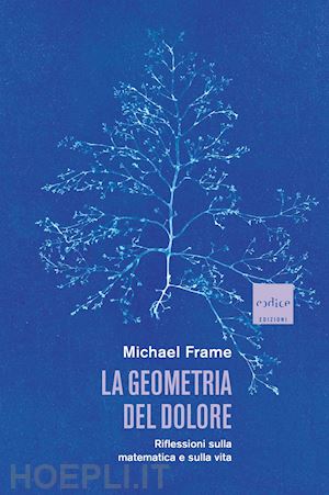 frame michael - la geometria del dolore. riflessioni sulla matematica e sulla vita