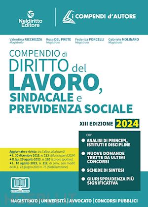 ricchezza valentina; del prete rosa; porcelli federica; molinaro gabriele - compendio di diritto del lavoro, sindacale e della previdenza sociale