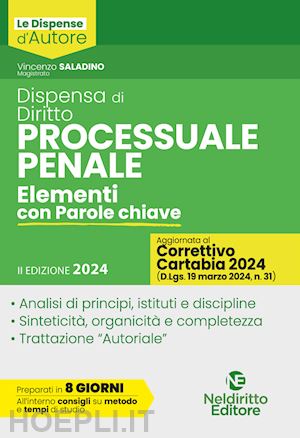 saladino vincenzo - dispensa di diritto processuale penale