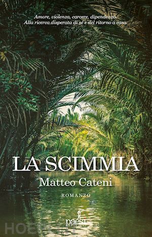 cateni matteo - la scimmia