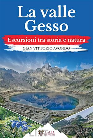 avondo gian vittorio - la valle gesso. escursioni tra storia e natura