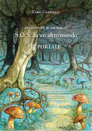 gabrielli fabio - avventure su nicribgo. s.o.s. da un altro mondo. il portale