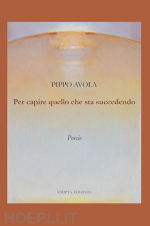 avola pippo - per capire quello che sta succedendo