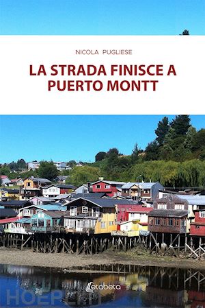 pugliese nicola - la strada finisce a puerto montt