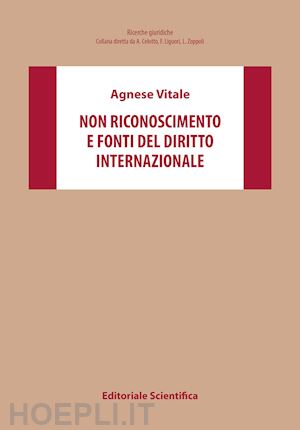 vitale agnese - non riconoscimento e fonti del diritto internazionale