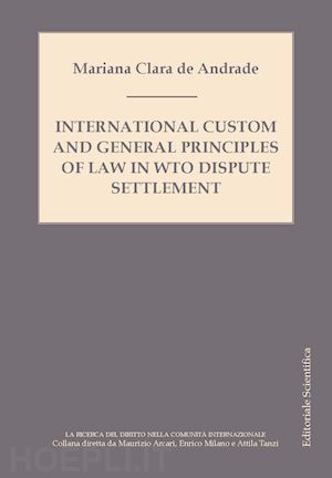 de andrade mariana clara - international custom and general principles of law in wto disputes settlement