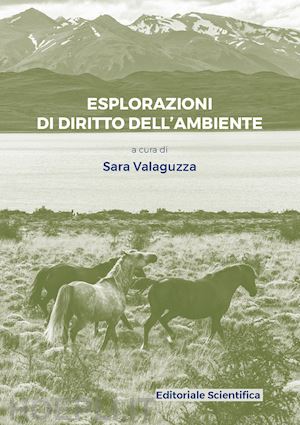 valaguzza s. (curatore) - esplorazioni di diritto dell'ambiente