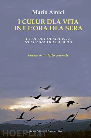 amici mario - i culur dla vita int l'ora dla sera-i colori della vita nell'ora della sera. poesie in dialetto cesenate