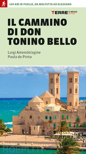 amendolagine luigi; de pinto paola - il cammino di don tonino bello