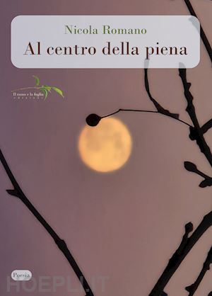 romano nicola - al centro della piena