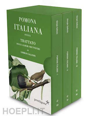 gallesio giorgio - pomona italiana ossia trattato degli alberi fruttiferi - cofanetto 3 volumi
