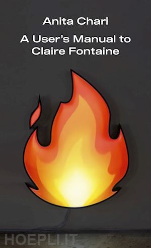 chari anita - a user's manual to claire fontaine