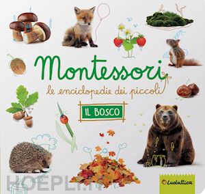 aa.vv. - il bosco. montessori. le enciclopedie dei piccoli. ediz. a colori