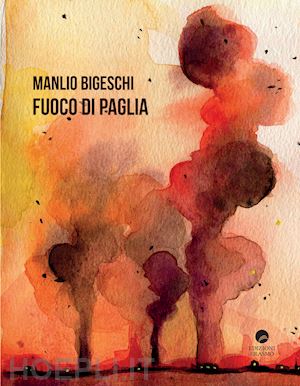 bigeschi manlio - fuoco di paglia