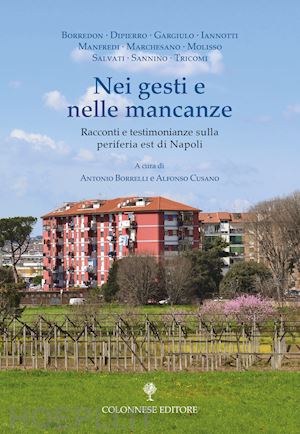 borrelli a.(curatore); cusano a.(curatore) - nei gesti e nelle mancanze. racconti e testimonianze sulla periferia est di napoli