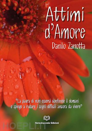 zanotta danilo - attimi d'amore