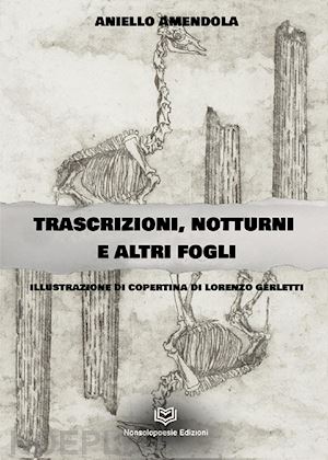 amendola aniello - trascrizioni, notturni ed altri fogli