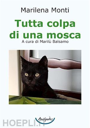 monti marilena - tutta colpa di una mosca