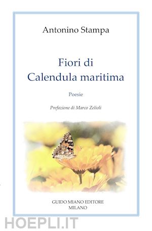 stampa antonino - fiori di calendula maritima