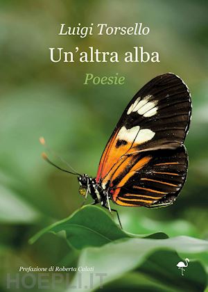 torsello luigi - un'altra alba